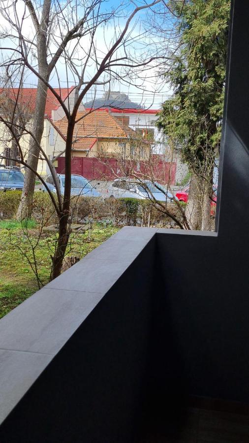 Central Studio 1 - apartament 2 camere Deva Exterior foto
